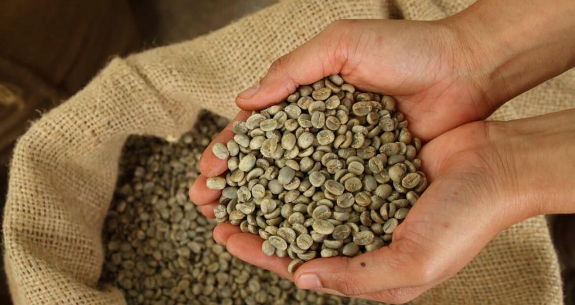 raw-green-coffee-beans
